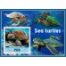Фауна морские черепахи